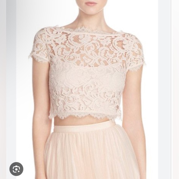 Adrianna Papell Tops - Adrianna papell crop top💗